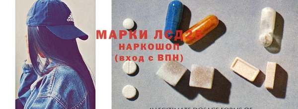 прущие грибы Пролетарск