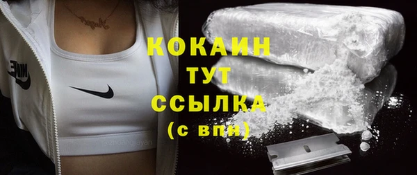 прущие грибы Пролетарск