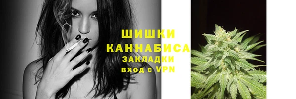 прущие грибы Пролетарск
