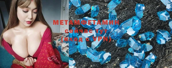 прущие грибы Пролетарск